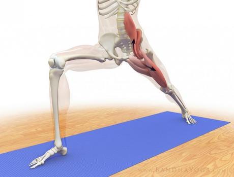 warrior1_psoas_stretch