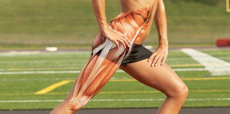 La importancia del psoas para nuestra salud, vitalidad y bienestar emocional psoas2.jpg
