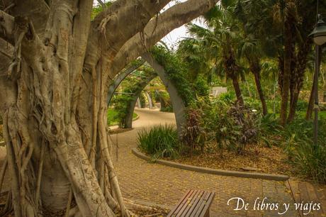 De paseo con amigos por Brisbane