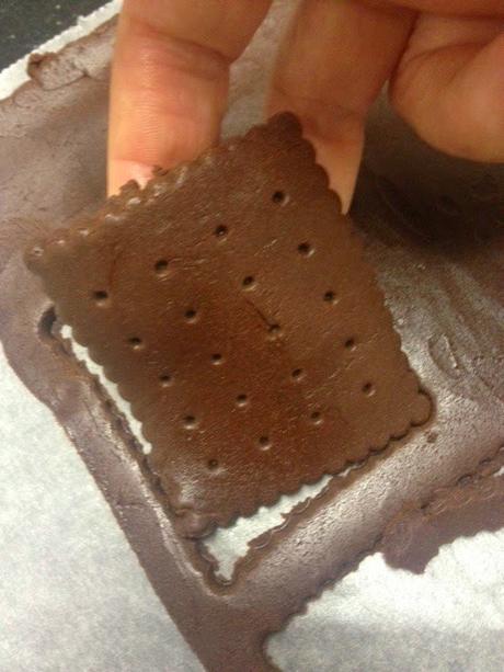 GALLETAS DE CHOCOLATE BLANCO Y NEGRO CON ANIMALITOS