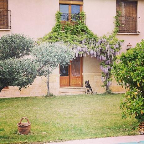 Primavera en instagram Primavera en instagram