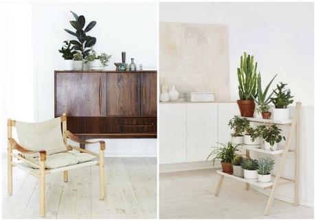 DECORAR CON PLANTAS DENTRO DE CASA 01-decorar-con-plantas-sobre-mueble