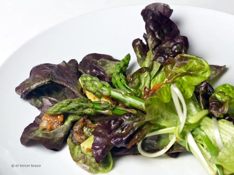 Ensalada Hojas de Roble