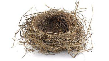252922-empty-nest