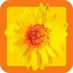 Las mejores apps para tratar la depresión Las mejores apps para tratar la depresión