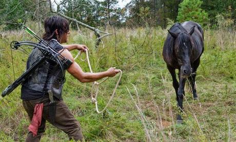 THE WALKING DEAD -TEMPORADA 5- FORGET