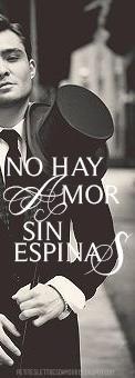 Reseña · No hay amor sin espinas