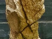 piedras