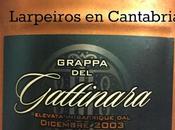 Grappa Francoli Gattinara Barrique 2003