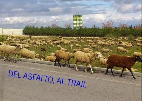 Como te sientes antes de tu primer UltraTrail Como te sientes antes de tu primer UltraTrail