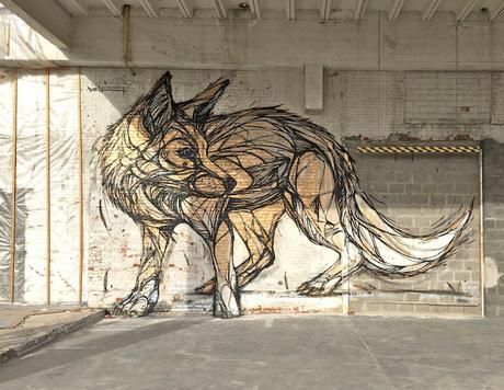 Zorro graffitti street art Dzia