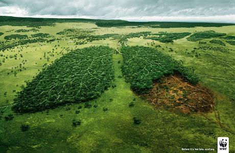 Anuncios sobre problemas sociales deforestacion