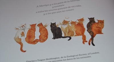 Foto-reseña Yo soy gato Foto-reseña Yo soy gato