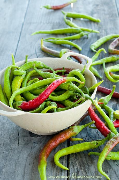 Fermentación: Guindillas, chiles, pimientos picantes