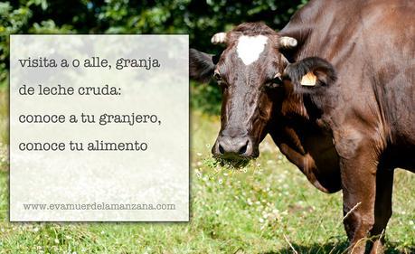 Visita a O Alle, granja de leche cruda: Conoce a tu granjero, conoce tu alimento