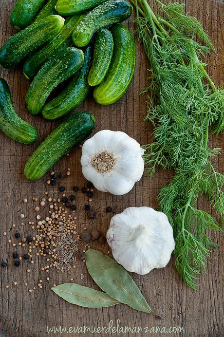 Receta de pepinillos lactofermentados