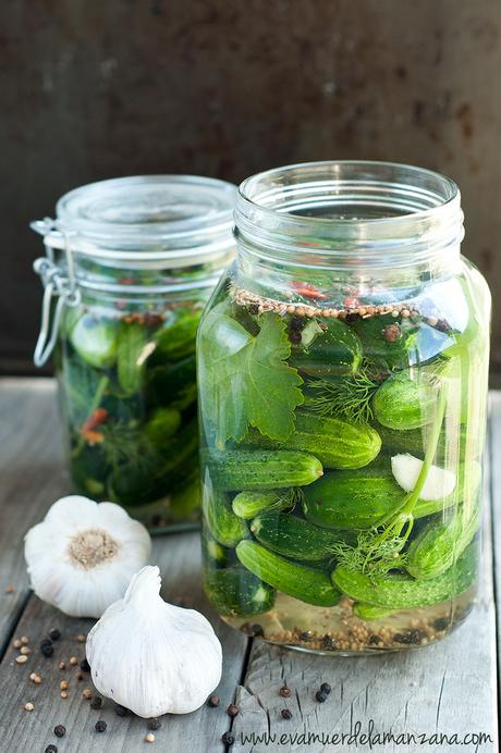 Pepinillos fermentados con eneldo y ajo