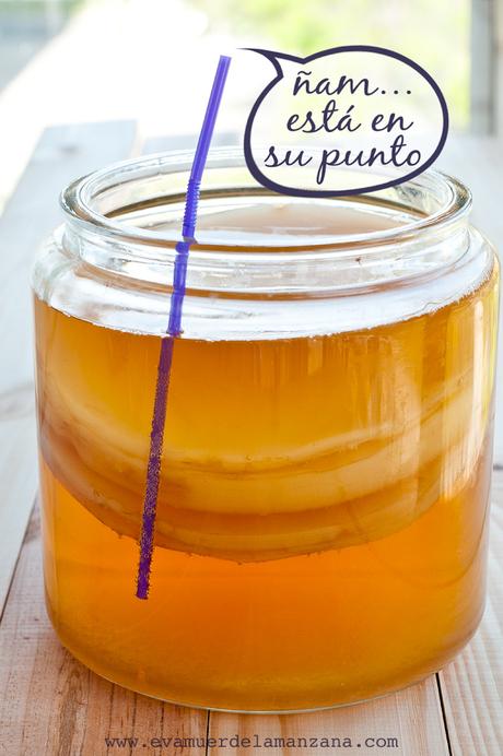Probando la kombucha