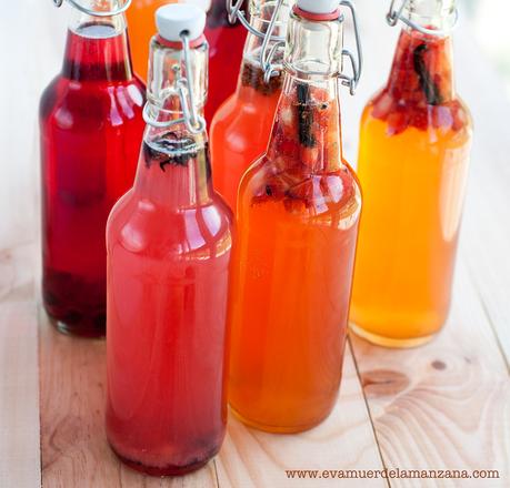 Botellas de kombucha Botellas de kombucha