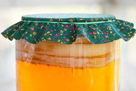 Kombucha fermentando