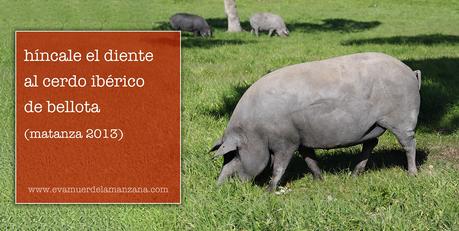 Híncale el diente al cerdo ibérico de bellota