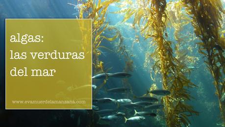 Algas nutritivas en tu cocina