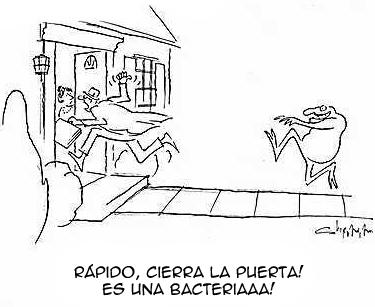 Miedo a las bacterias