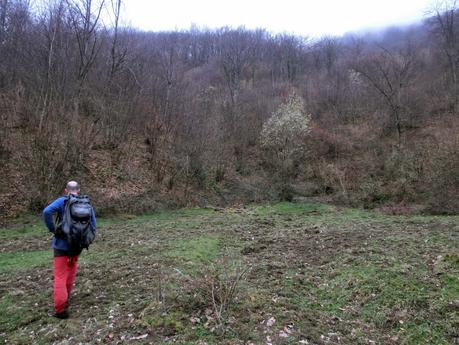 Por los valles de Zurea (1)