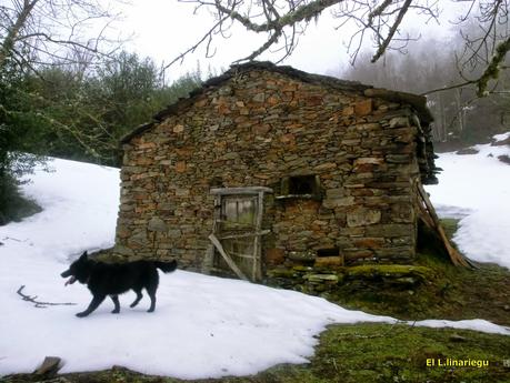 Por los valles de Zurea (1)