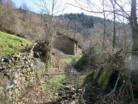 Por la vertiente allerana del Cordal de Longalendo