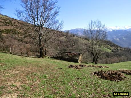 Por la vertiente allerana del Cordal de Longalendo