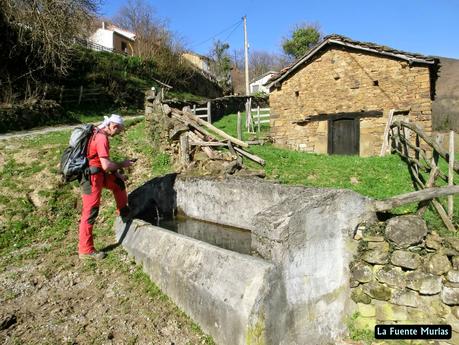 Por la vertiente allerana del Cordal de Longalendo