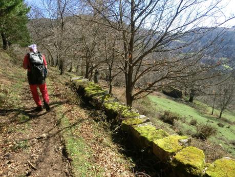 Por la vertiente allerana del Cordal de Longalendo