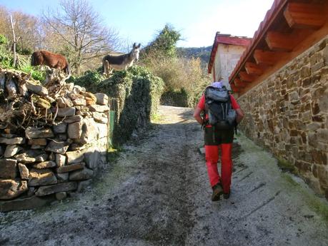 Por la vertiente allerana del Cordal de Longalendo