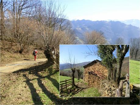 Por la vertiente allerana del Cordal de Longalendo