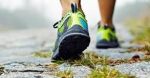 fabricantes plantillas para calzado