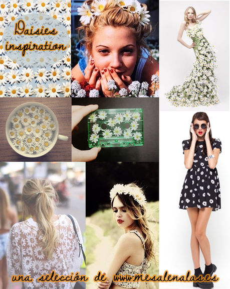 DAISIES INSPIRATION