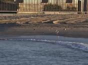 vuelto cigüeñuelas Sant Adrià