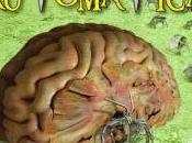 [Ender] casa automática Marcos Fernández