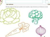 Ciencia Ambiente años verduras