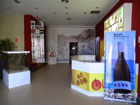El Museo del Vino de Manilva(CIVIMA) visita obligada en la Costa del Sol