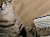 libros para amantes gatos