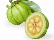 Adelgaza para este verano Garcinia Cambogia