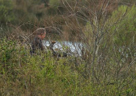 COLLALBAS, GARZA IMPERIAL... Y UN TOQUE DE ATENCIÓN