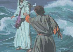 Un tiempo para la fe