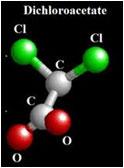 Dicloroacetato de Sodio: Cura biológica del Cancer