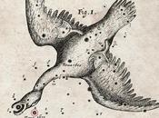 Zoco Astronomía: estrellas novas