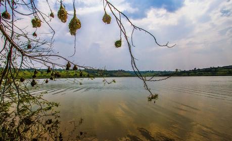 Lago Muhazi