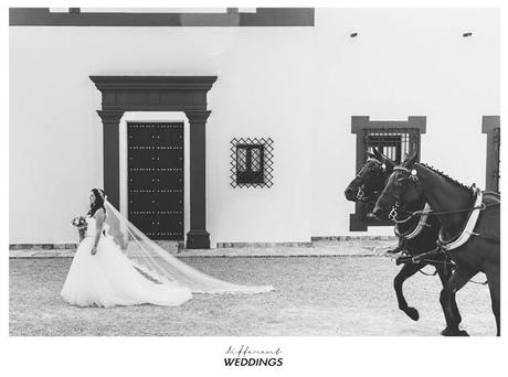 f-p-fotografia-de-boda-hacienda-timoteo-cordoba-30