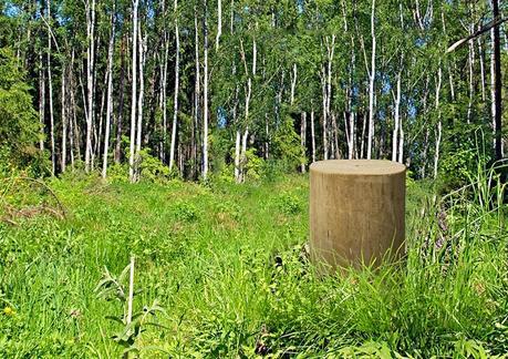 ¡Pon un tronco en tu deco!